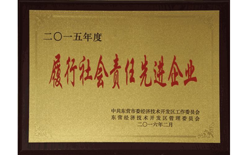 履行社會(huì)責(zé)任先進(jìn)企業(yè)