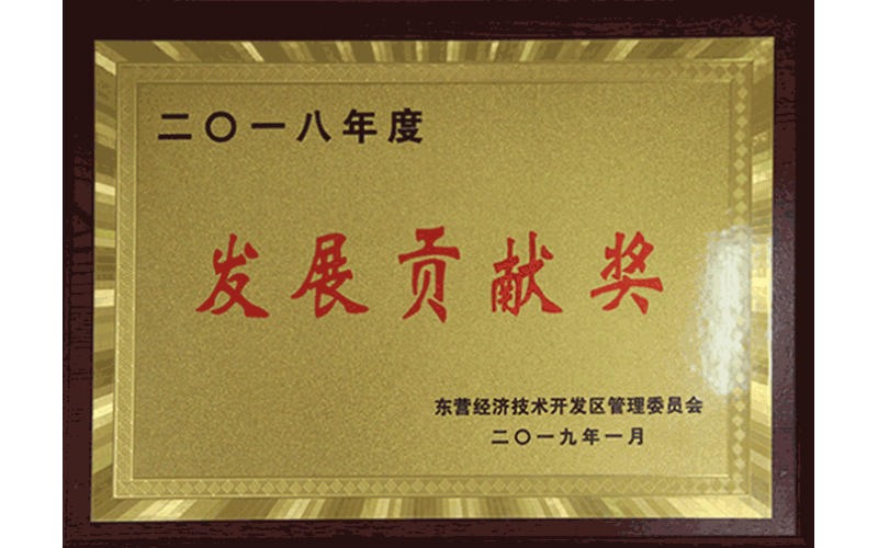 發(fā)展貢獻(xiàn)獎(jiǎng)